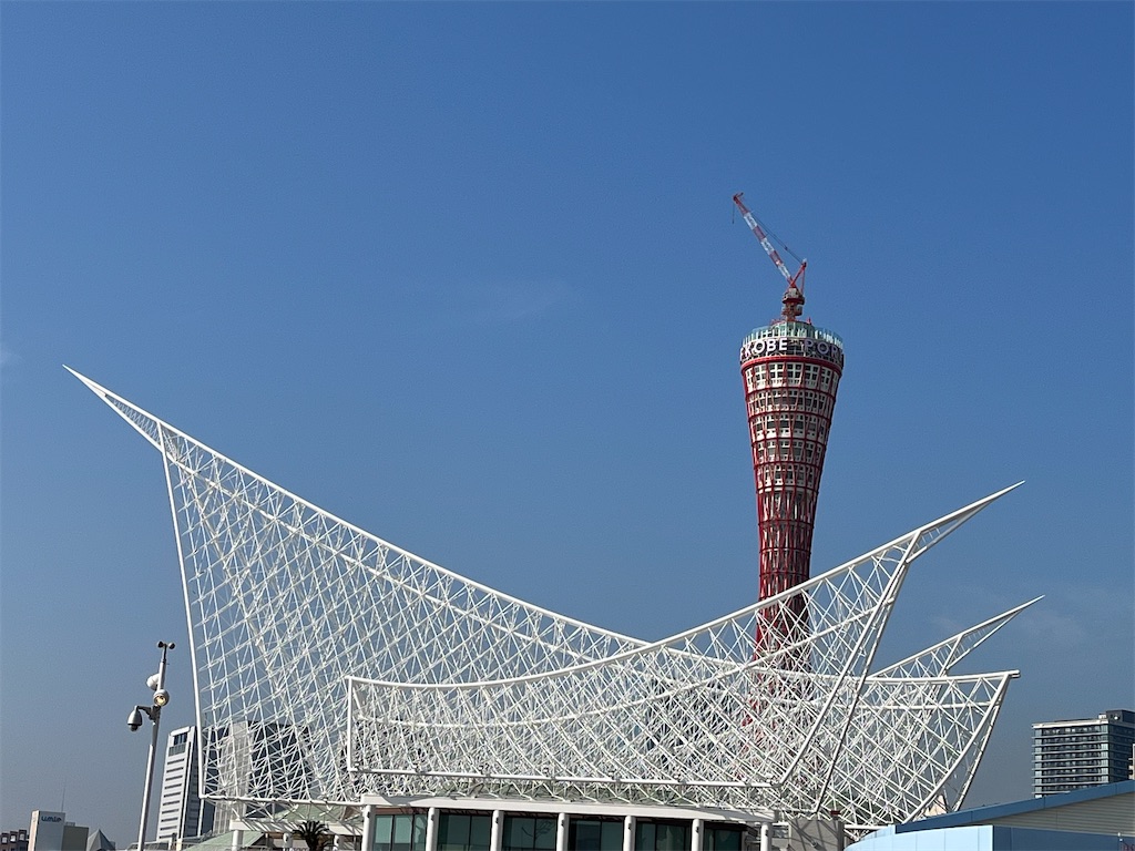 f:id:a_yellow_bird:20231105200449j:image