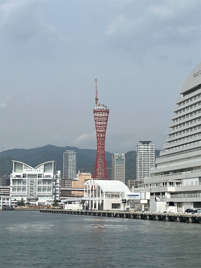 f:id:a_yellow_bird:20231105200452j:image