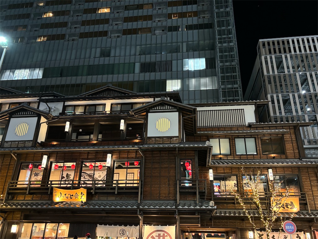 f:id:a_yellow_bird:20250214083556j:image