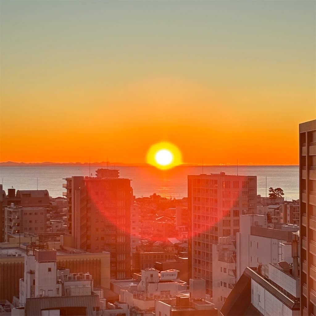 f:id:a_yellow_bird:20250214083600j:image