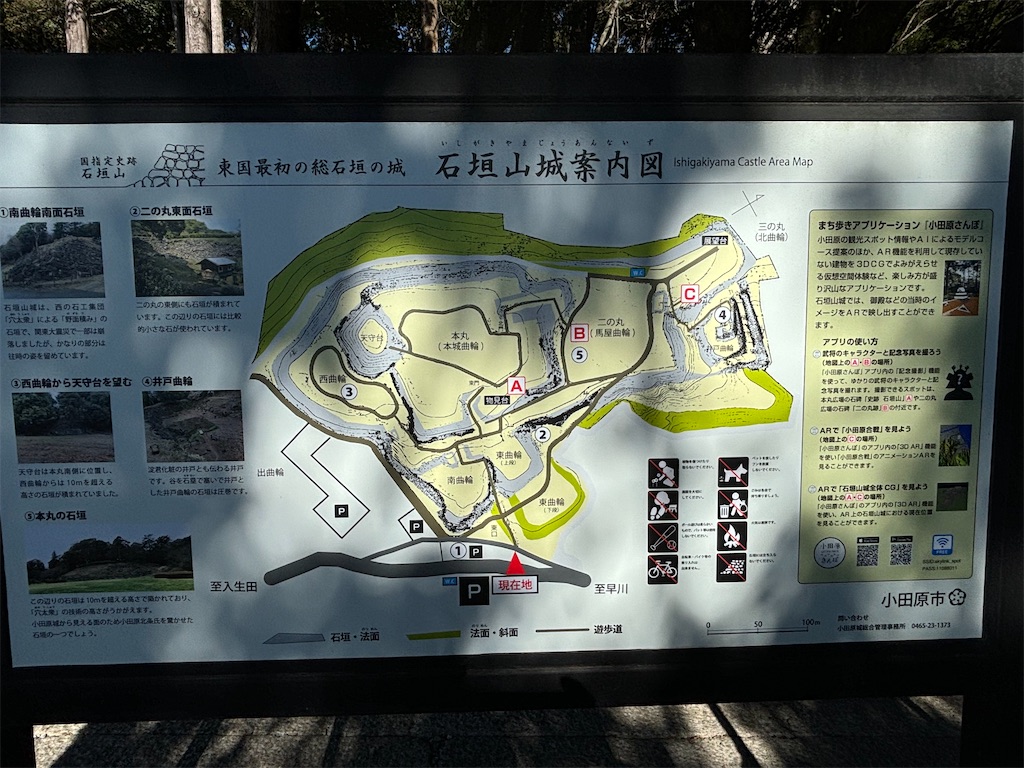f:id:a_yellow_bird:20250214083604j:image