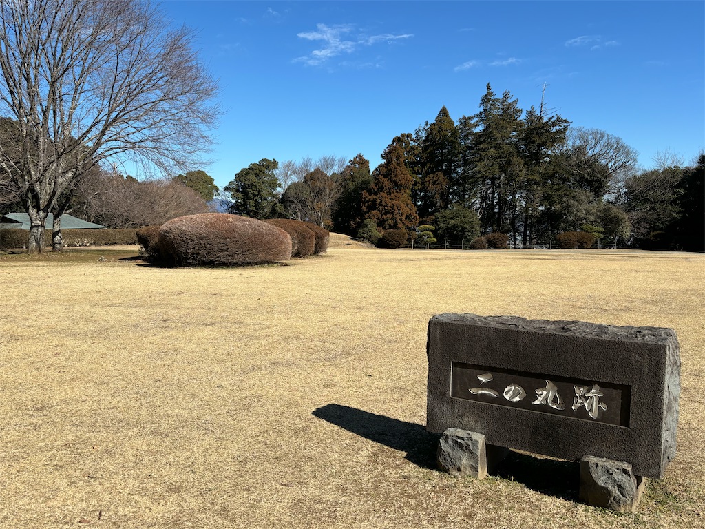 f:id:a_yellow_bird:20250214083828j:image