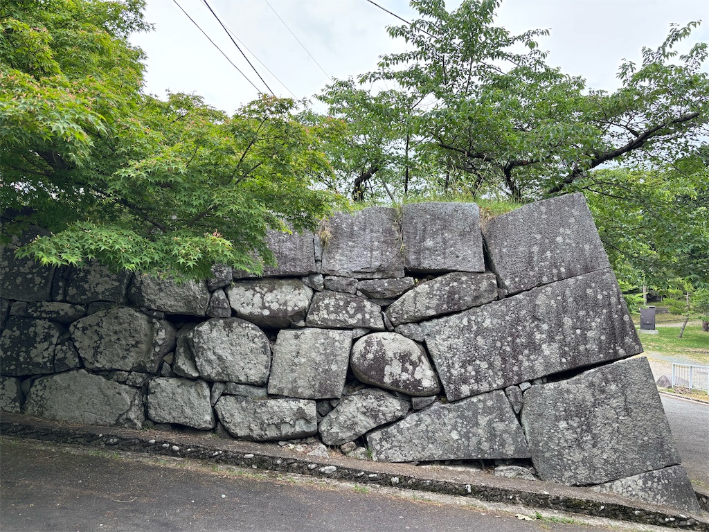 f:id:a_yellow_bird:20250615170624j:image
