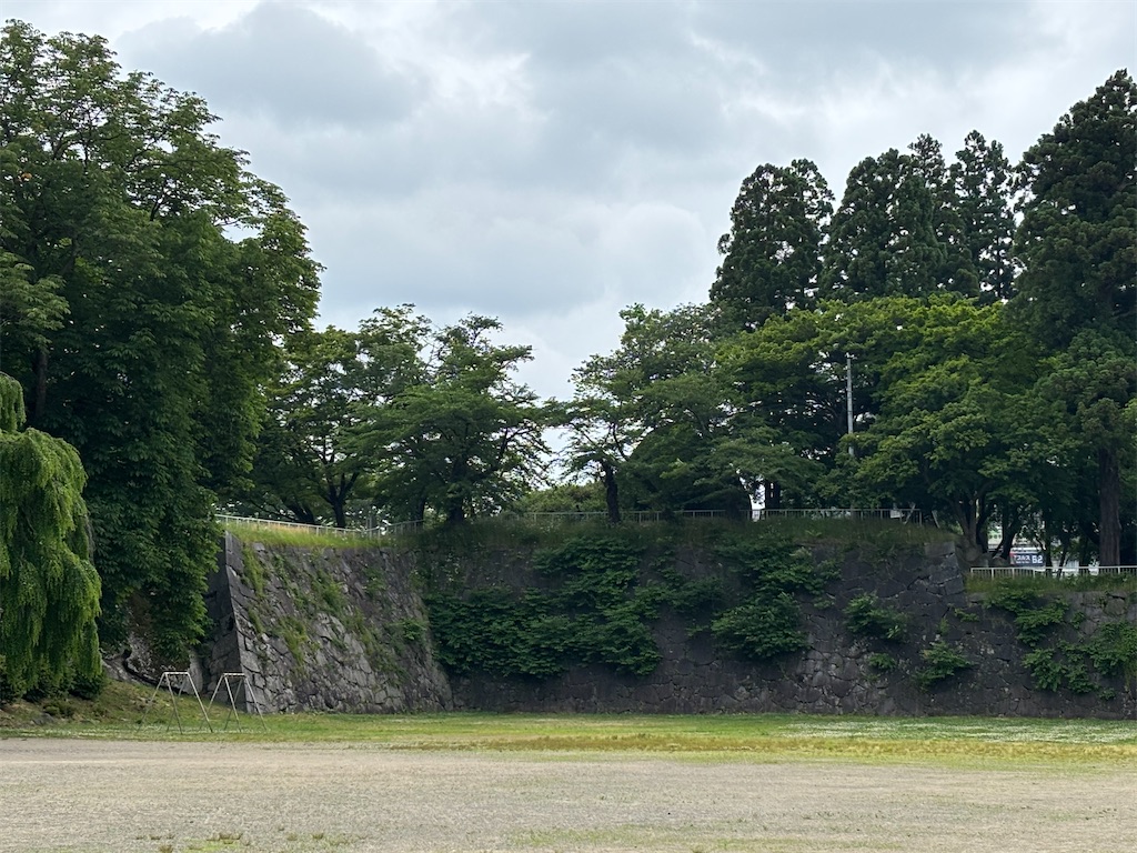 f:id:a_yellow_bird:20250615170635j:image