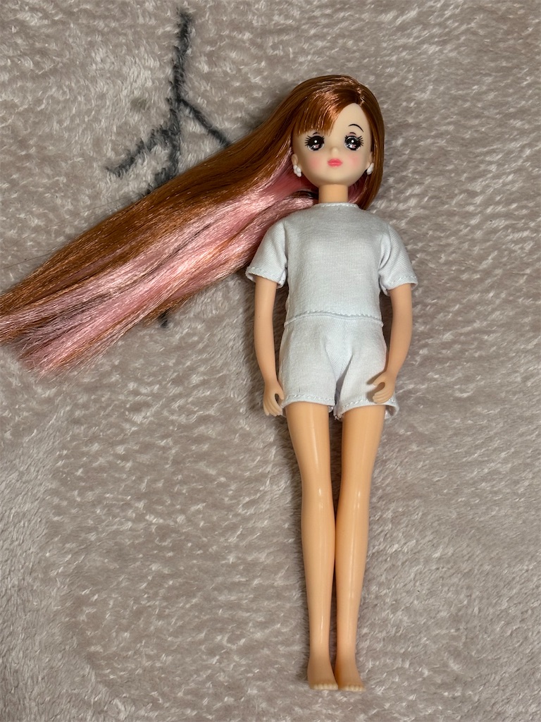 f:id:a_yellow_bird:20260111001430j:image