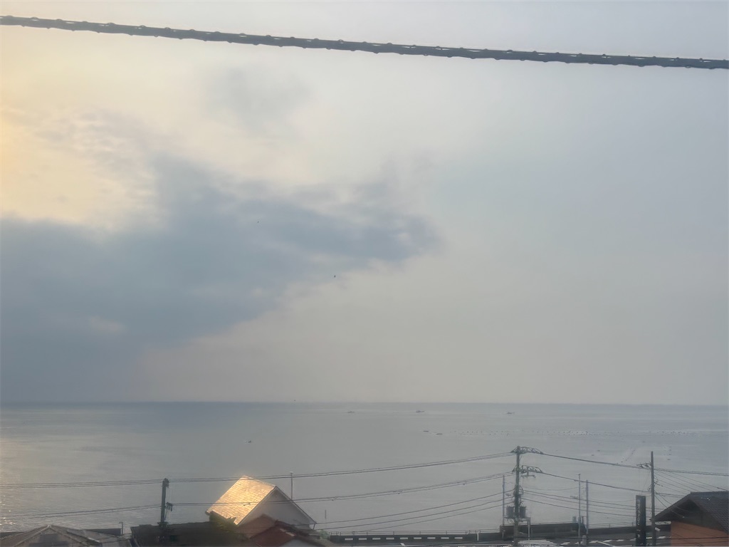 f:id:a_yellow_bird:20260616102021j:image f:id:a_yellow_bird:20260616102021j:image