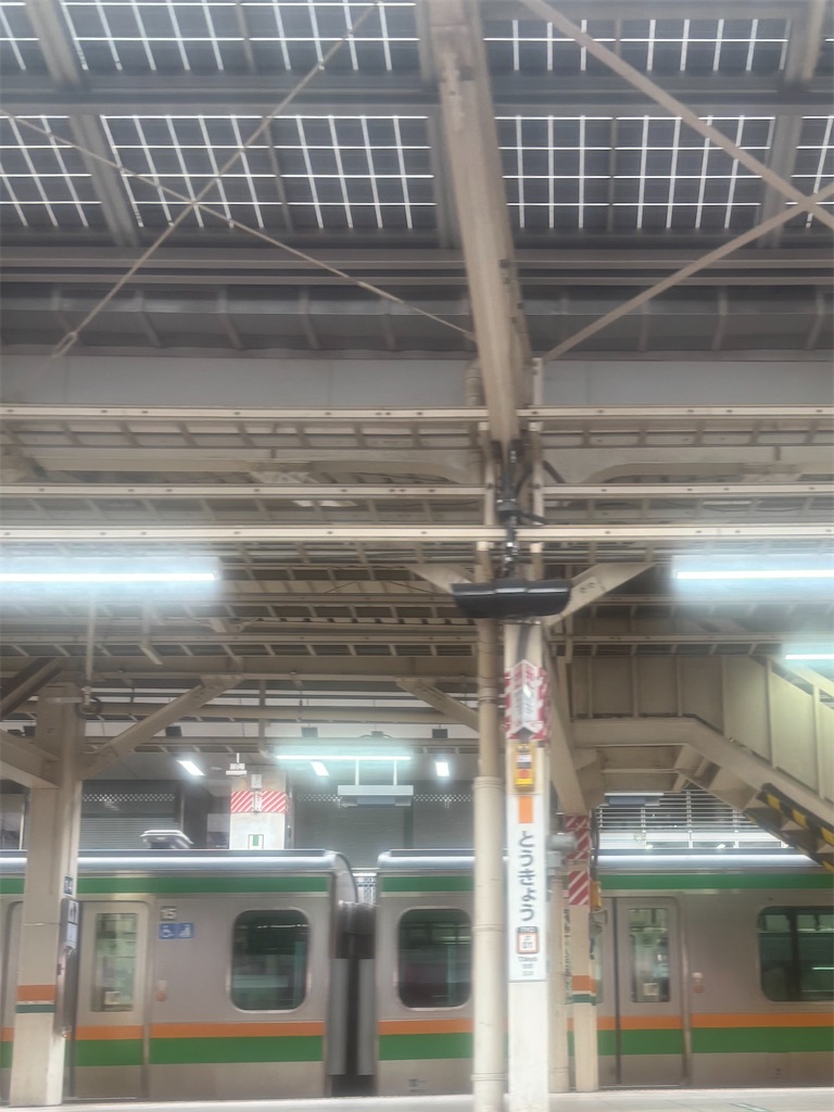 f:id:a_yellow_bird:20260616102040j:image f:id:a_yellow_bird:20260616102040j:image