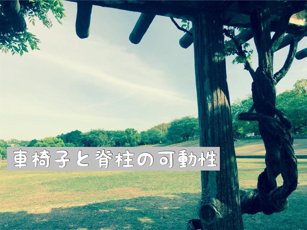f:id:aaa0307:20200510070251j:image f:id:aaa0307:20200510070251j:image