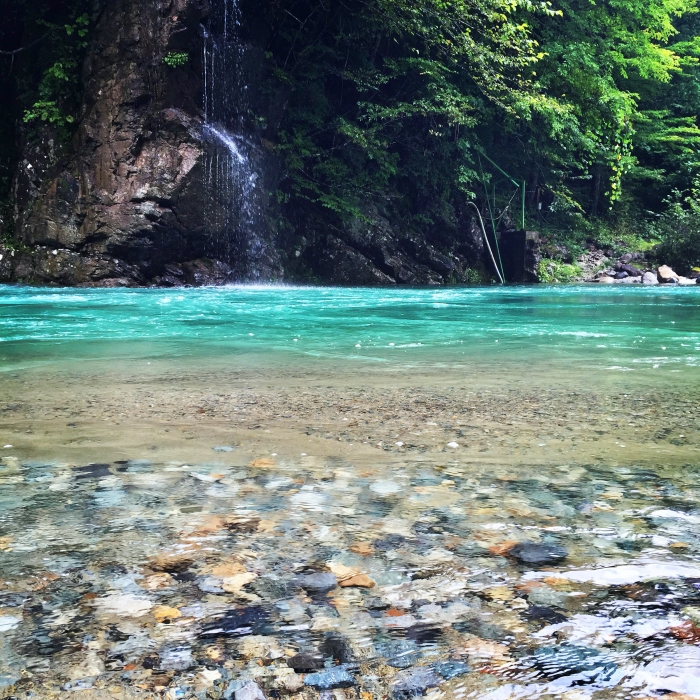 青緑色に透き通る川の水