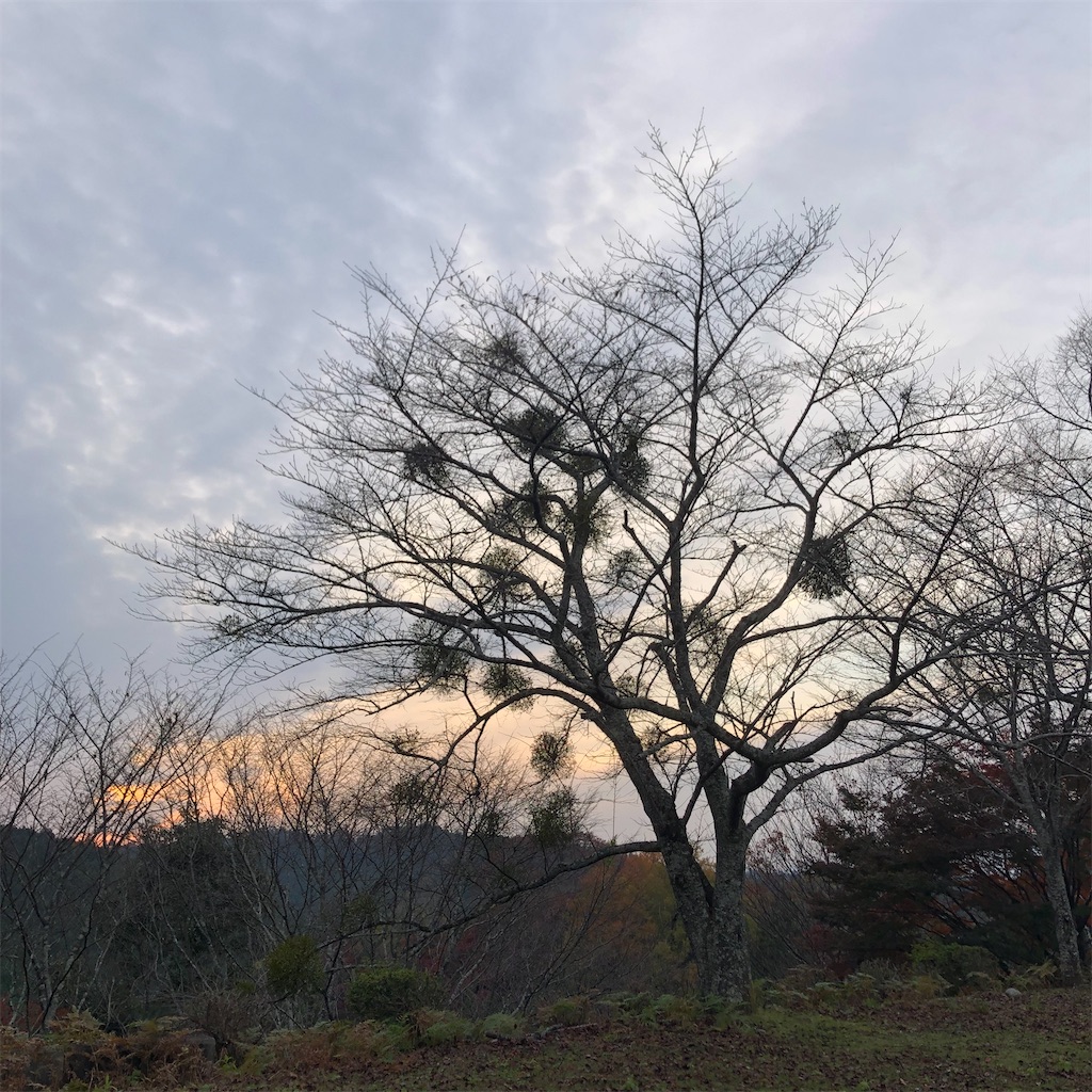 f:id:aaa41:20220407055345j:image f:id:aaa41:20220407055345j:image