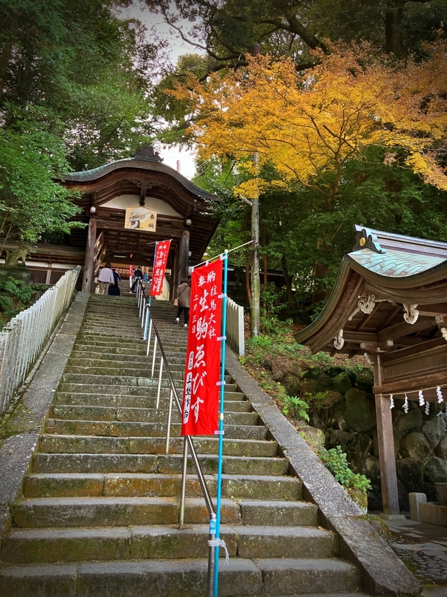本殿より真っ直ぐに降る急階段