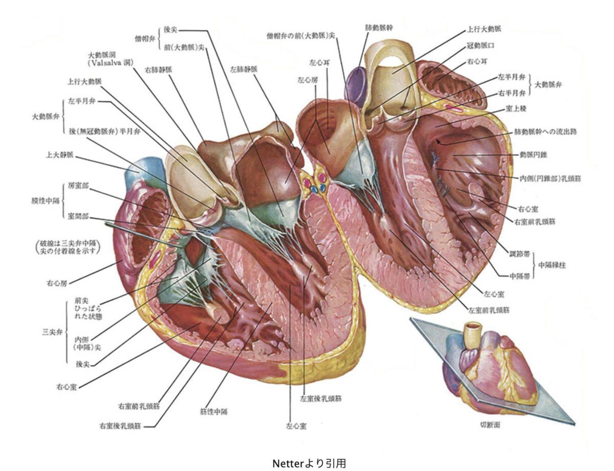 f:id:aaa69677:20210517230135p:plain