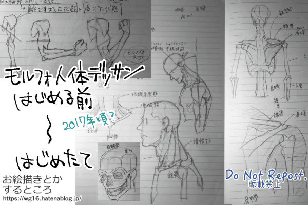 モルフォ人体デッサンを始める前~始めたばかりの画像