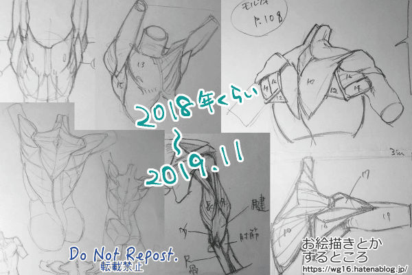 モルフォ人体デッサンを始めてから一~二年の画像