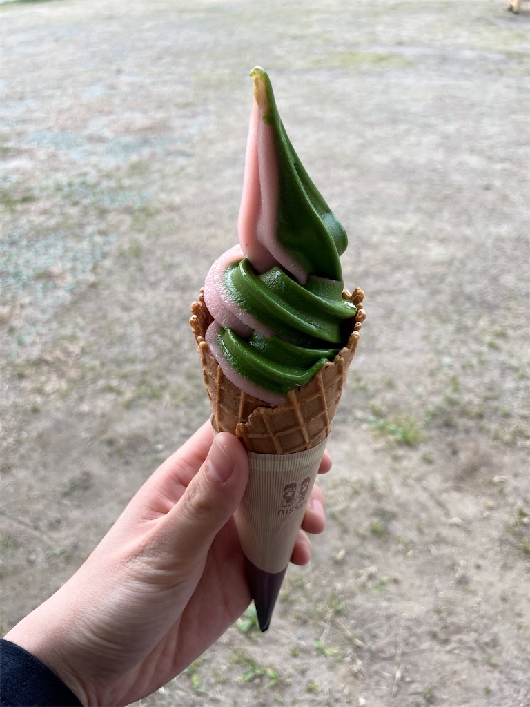 f:id:aaaachaaannn:20220703230233j:image f:id:aaaachaaannn:20220703230233j:image