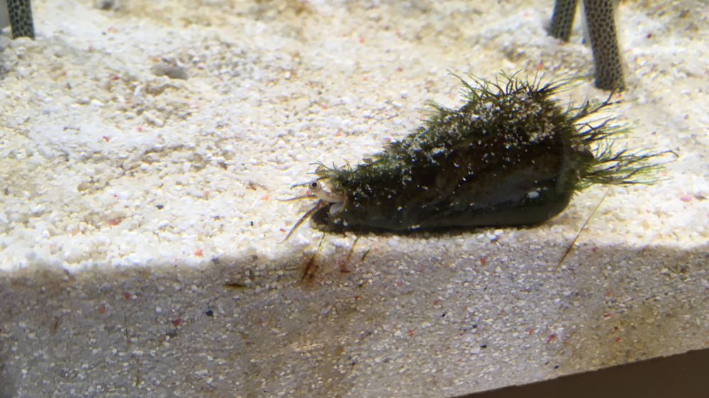 すみだ水族館