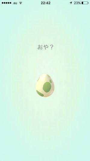 ポケモンgoプレイ画面