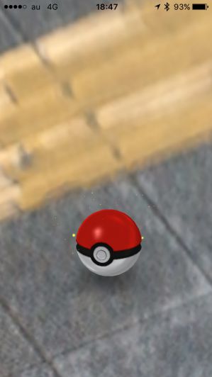 ポケモンgoプレイ画面