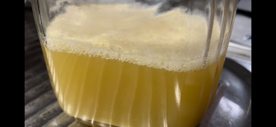 超簡単！自家製蜂蜜酒の作り方！酒税法の抜け方も添えて！ - エッセイ 