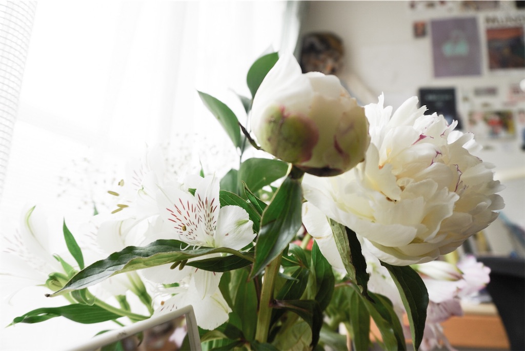 f:id:aaapei:20200612100814j:image