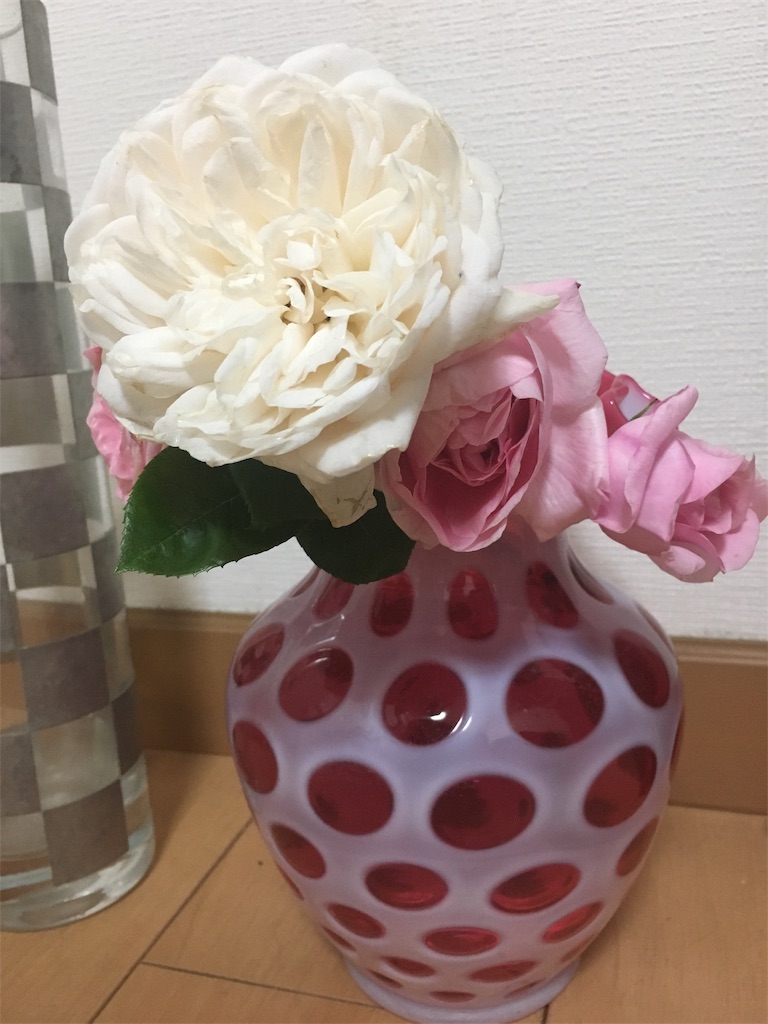 f:id:aaddgj:20190520220027j:image