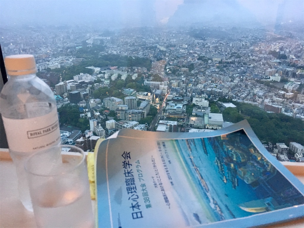 f:id:aaddgj:20190607190317j:image
