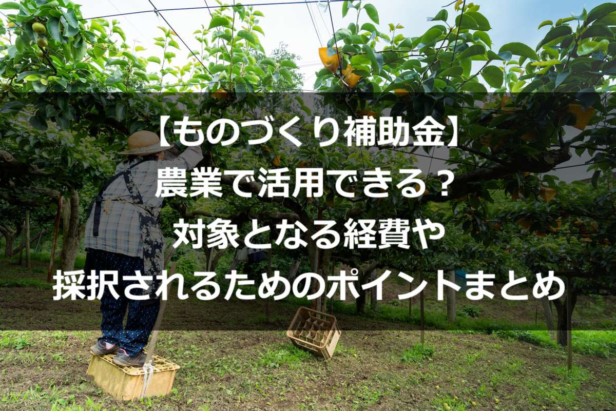 【ものづくり補助金】農業で活用できる？対象となる経費や採択されるためのポイントまとめ