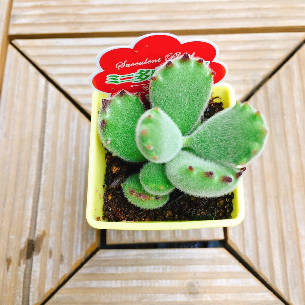 f:id:aamix:20180509215802j:image