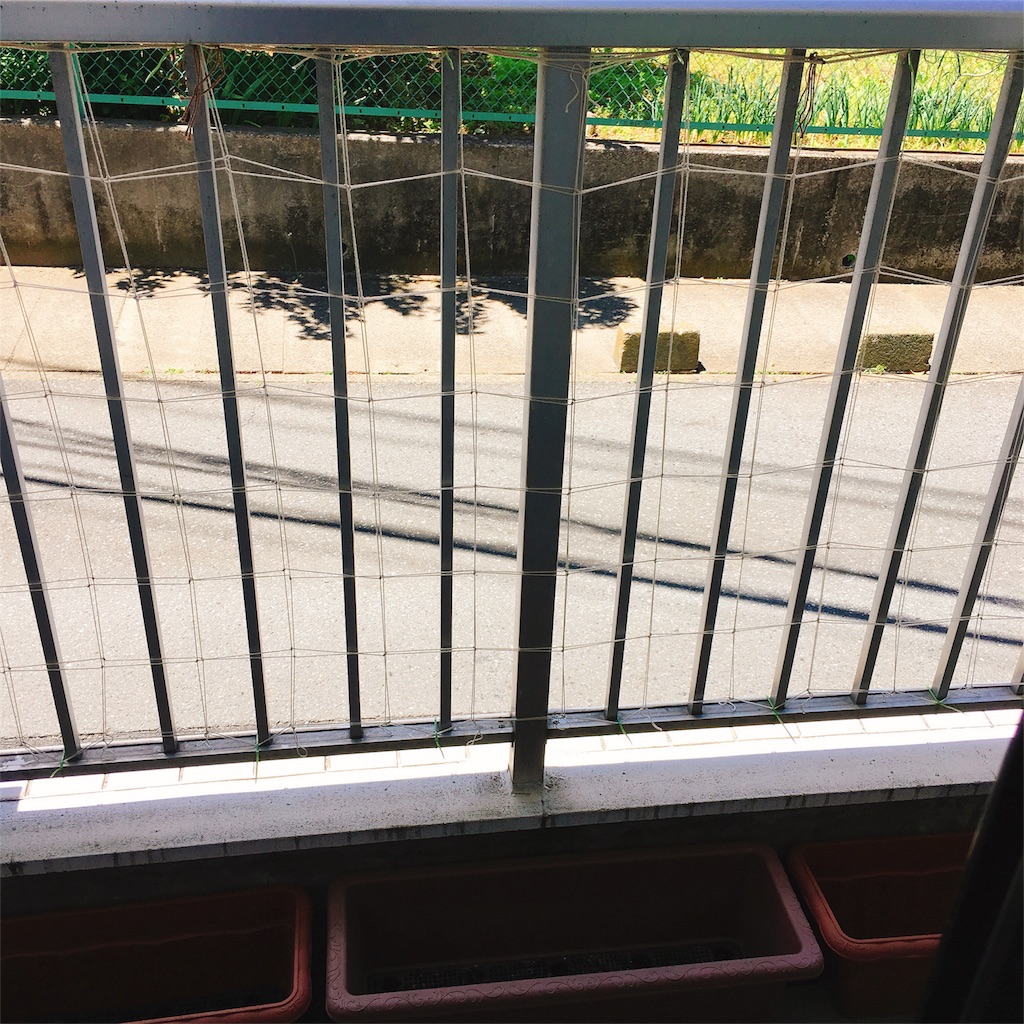 f:id:aamix:20180527232931j:image