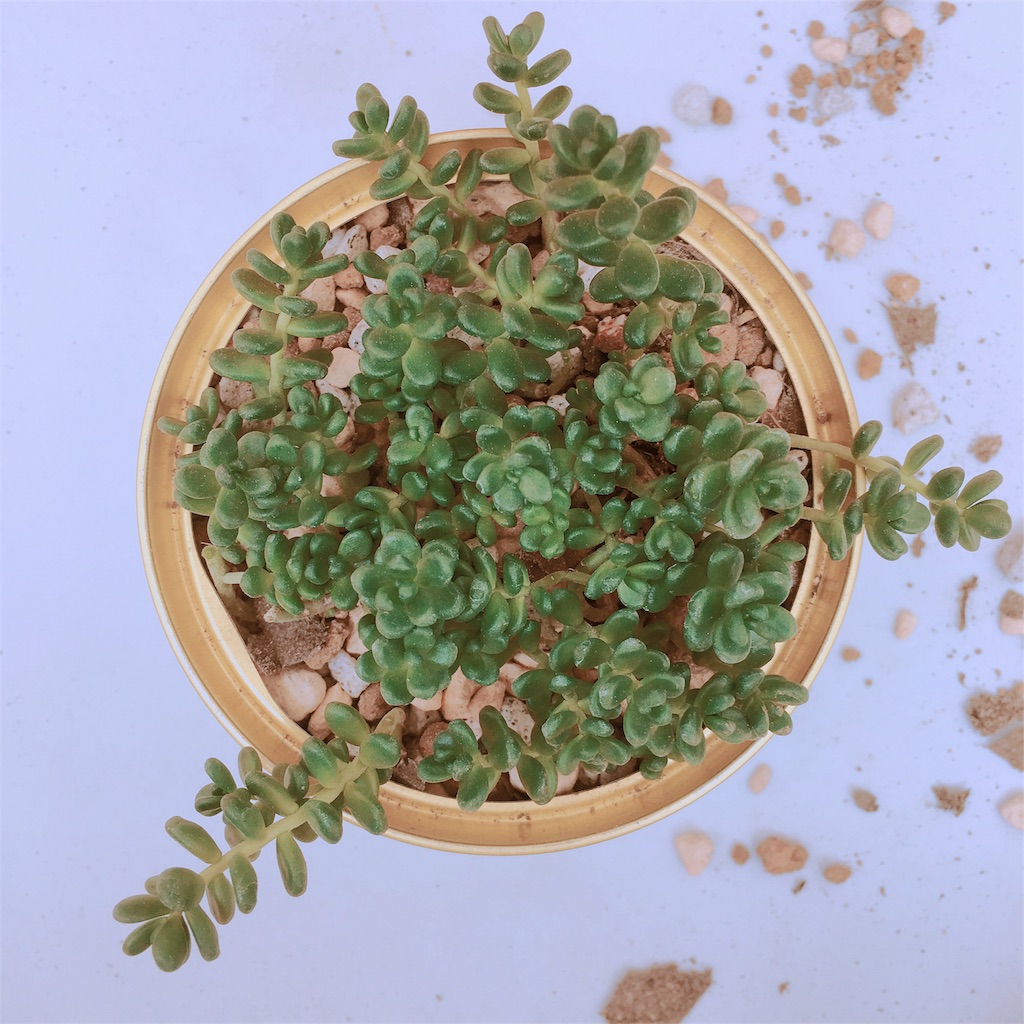 f:id:aamix:20180722140206j:image