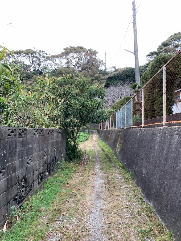 f:id:aanotee:20190109030654j:image f:id:aanotee:20190109030654j:image