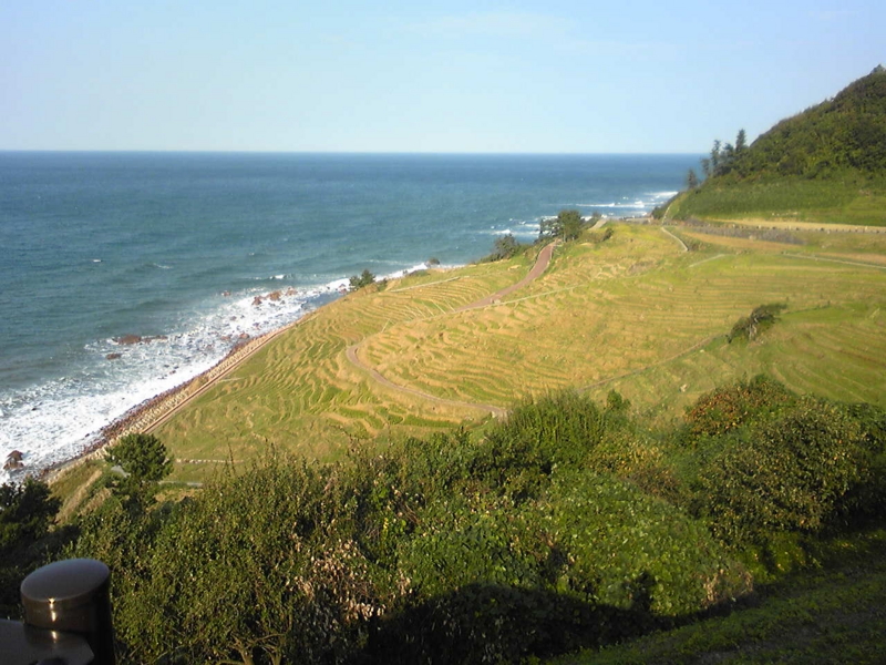 f:id:aar-hd:20101018220028j:image f:id:aar-hd:20101018220028j:image