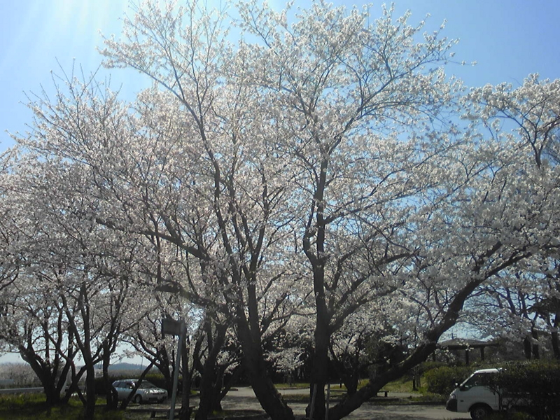 f:id:aar-hd:20110414214441j:image f:id:aar-hd:20110414214441j:image