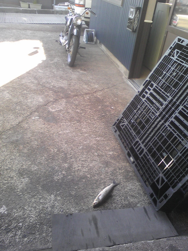 f:id:aar-hd:20110629201531j:image