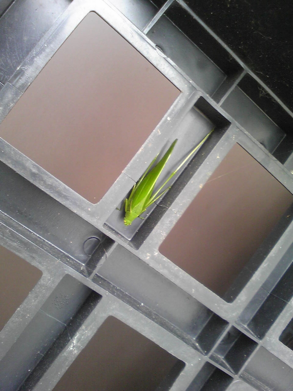 f:id:aar-hd:20110904110312j:image