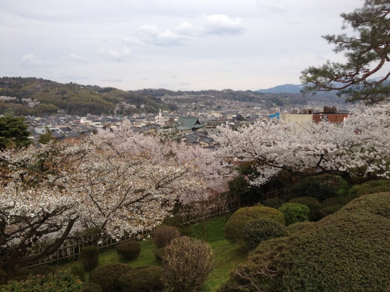 f:id:aar-hd:20120417104457j:image