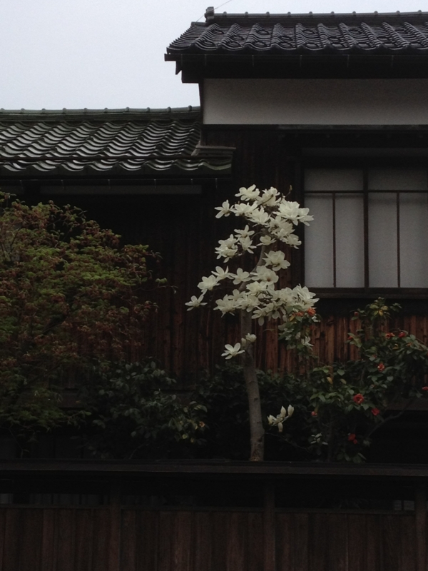 f:id:aar-hd:20120417232419j:image