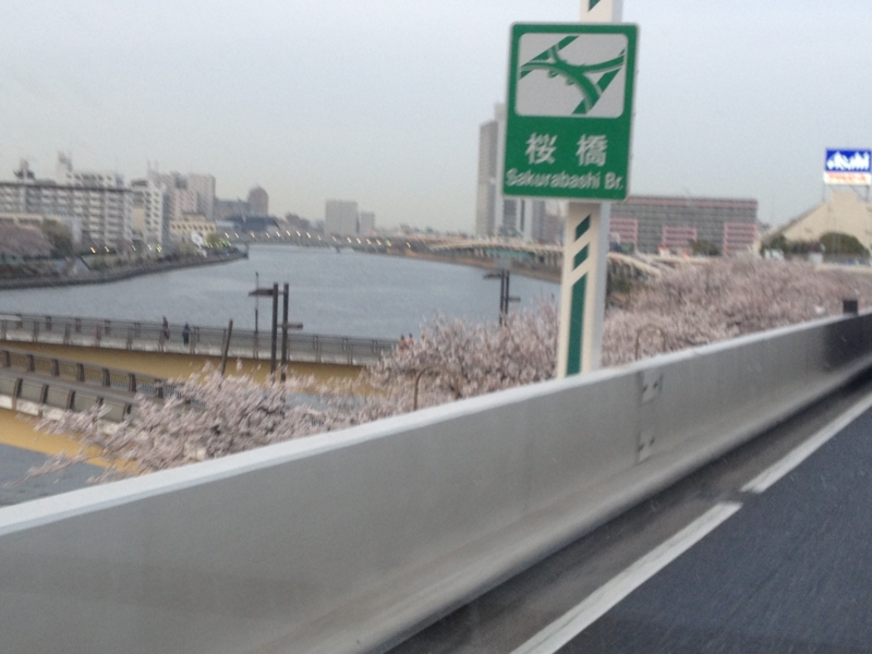f:id:aar-hd:20130331223519j:image