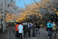 20100404183417