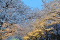 20100404183424