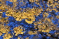 20100404183704