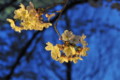 20100404183748