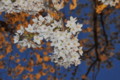 20100404183923