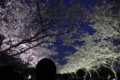 20100404184821