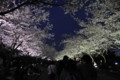 20100404184827
