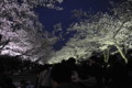 20100404184846