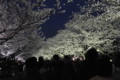 20100404184854