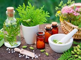 f:id:aashaayurveda:20191206150426j:plain