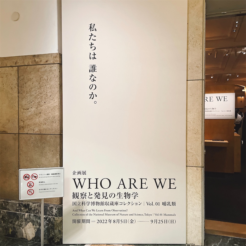 f:id:aatorii:20220827210028j:image