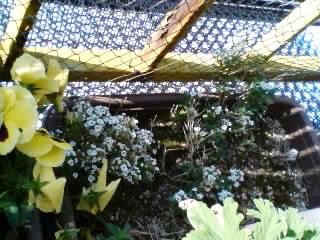 f:id:aatyan:20090424083344j:image f:id:aatyan:20090424083344j:image
